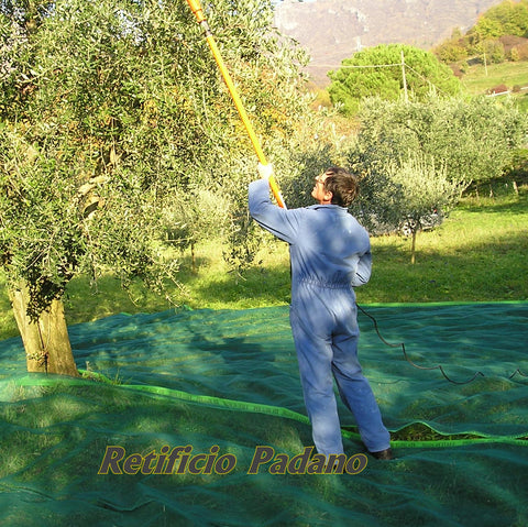 TELO OLIVE "IBERICA"- scivolosa. 85gr/m2.