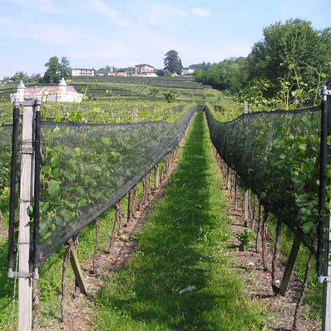 RETE ANTIGRANDINE PER VIGNETO