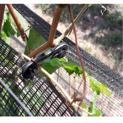 GANCIO a "C" con poppetta - CONFEZIONE DA 50 PEZZI.