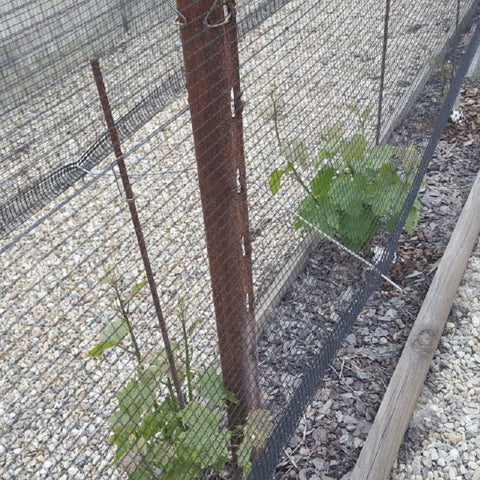 Molla Tendi-Rete Universale Confezione da 50 pz